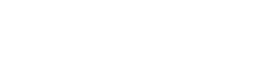 VisionVolve logo — white